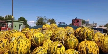 Yüz yıllık aynı tat, aynı lezzet satışa başladı