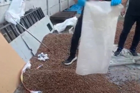 Sakarya’da uyuşturucu zulası fındık çuvalından çıktı