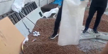 Sakarya’da uyuşturucu zulası fındık çuvalından çıktı