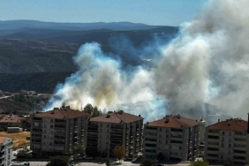 Salça yaparken çıkan kıvılcımla 30 dönüm makilik alanı kül oldu
