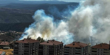 Salça yaparken çıkan kıvılcımla 30 dönüm makilik alanı kül oldu