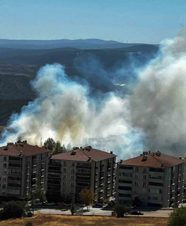 Salça yaparken çıkan kıvılcımla 30 dönüm makilik alanı kül oldu