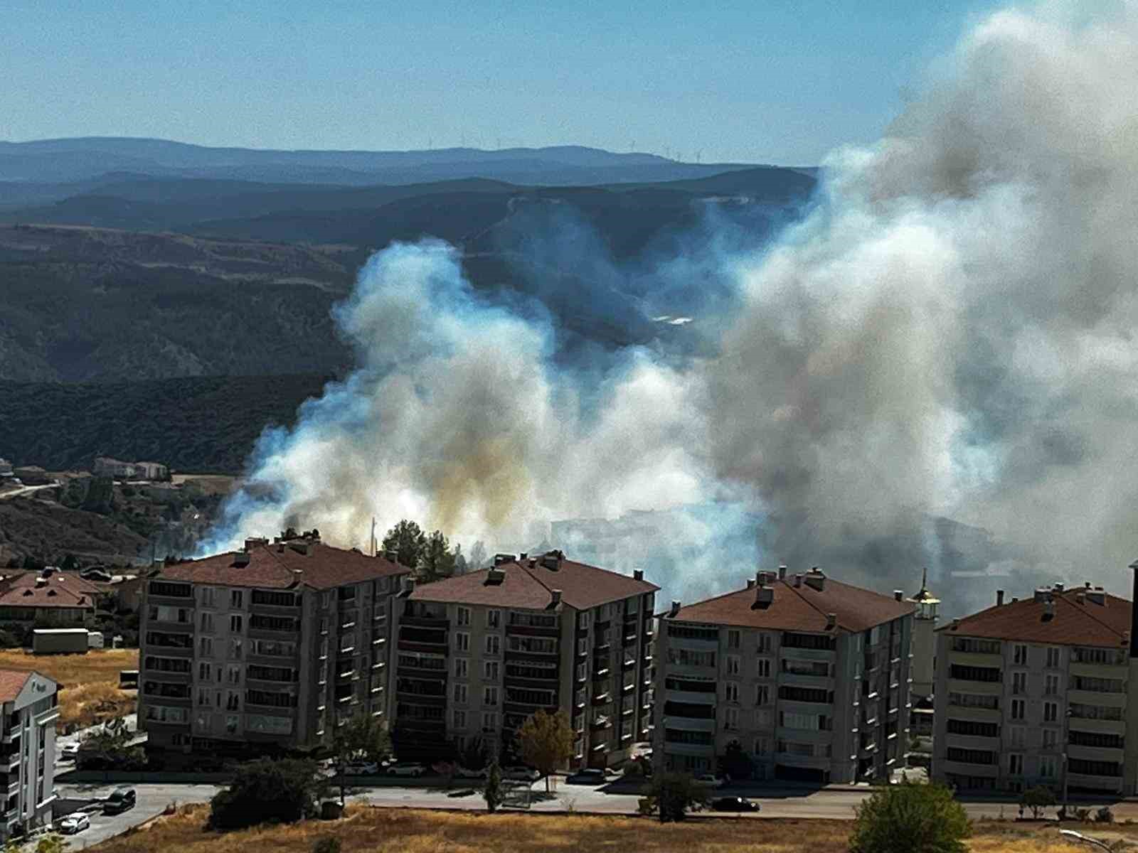 Salça yaparken çıkan kıvılcımla 30 dönüm makilik alanı kül oldu