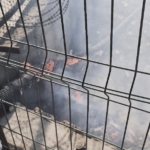 Bayrampaşa Metris Cezaevi’nin yanındaki otluk alanda korkutan yangın