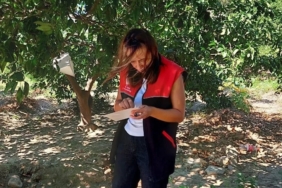 Akdeniz Meyve Sineği uyarısı