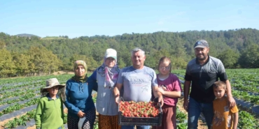 25 yıl yaptıkları işi yürütemediler, son çare olarak bunu buldular