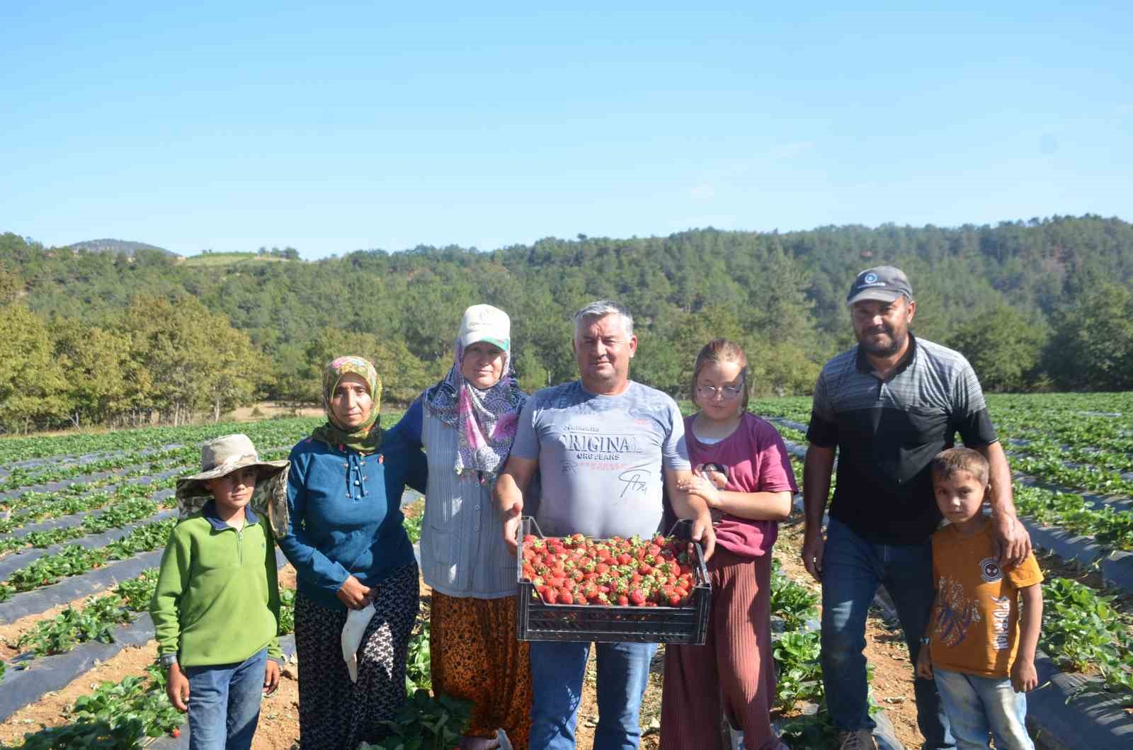25 yıl yaptıkları işi yürütemediler, son çare olarak bunu buldular