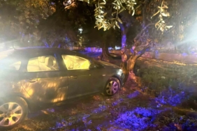 Kontrolden çıkan otomobil zeytin bahçesine girdi: 1 yaralı