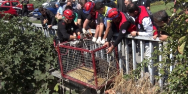 Menfezde mahsur kalan köpeği Başkan Bahadır kurtardı