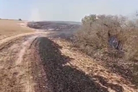 Kapaklı’da çıkan yangında 8 dönüm arazi kül oldu