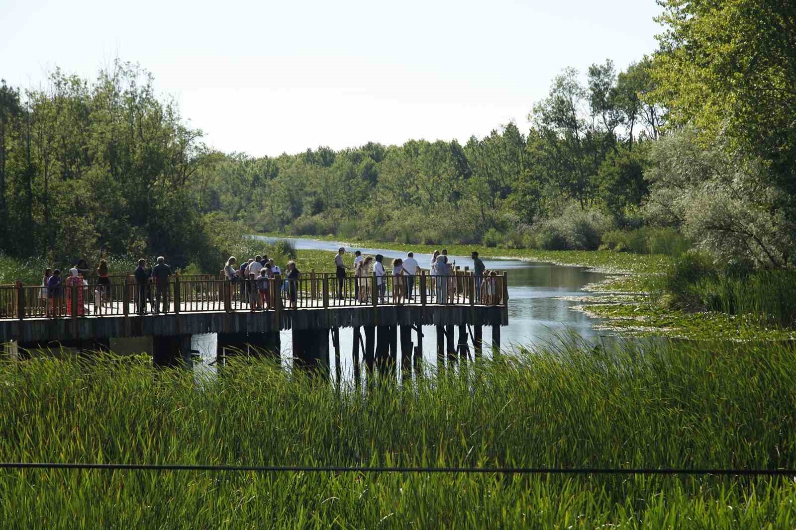 Acarlar Longozu yaz sezonunda ziyaretçi akınına uğradı