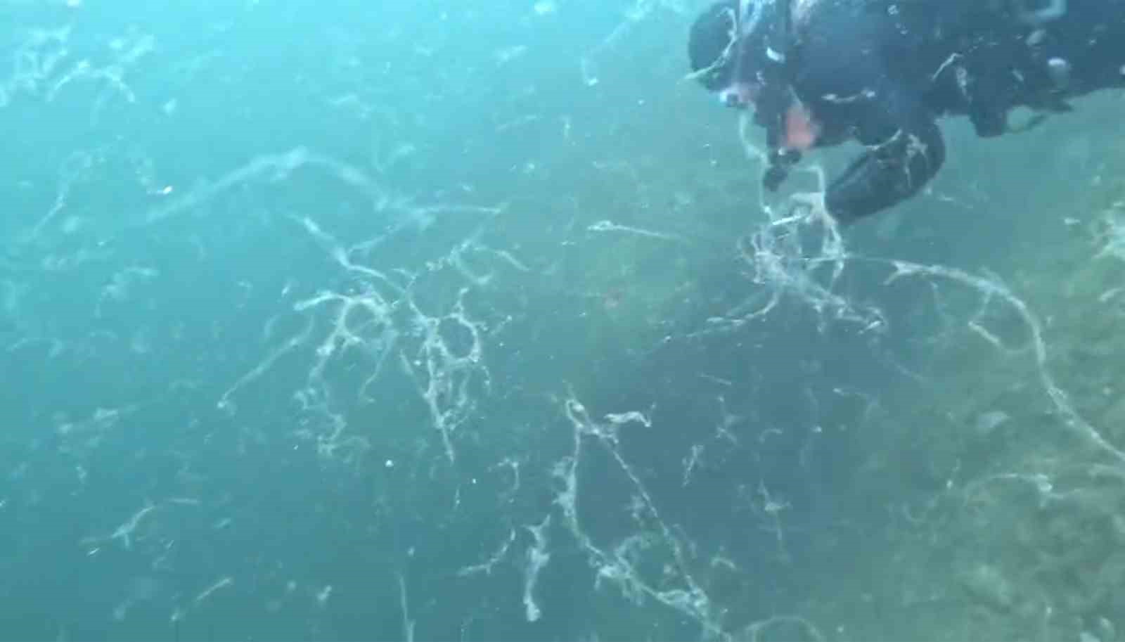 Müsilaj kabusu Marmara’ya geri döndü