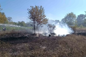 Bilecik Pazaryeri’nde arazi yangını çıktı