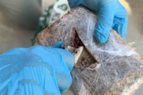 Şehirlerarası otobüste pul biber içine zulalanmış eroin ele geçirildi