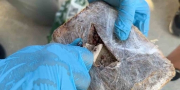 Şehirlerarası otobüste pul biber içine zulalanmış eroin ele geçirildi