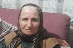 Kocaeli’de otomobilin çarptığı yaşlı kadın hayatını kaybetti