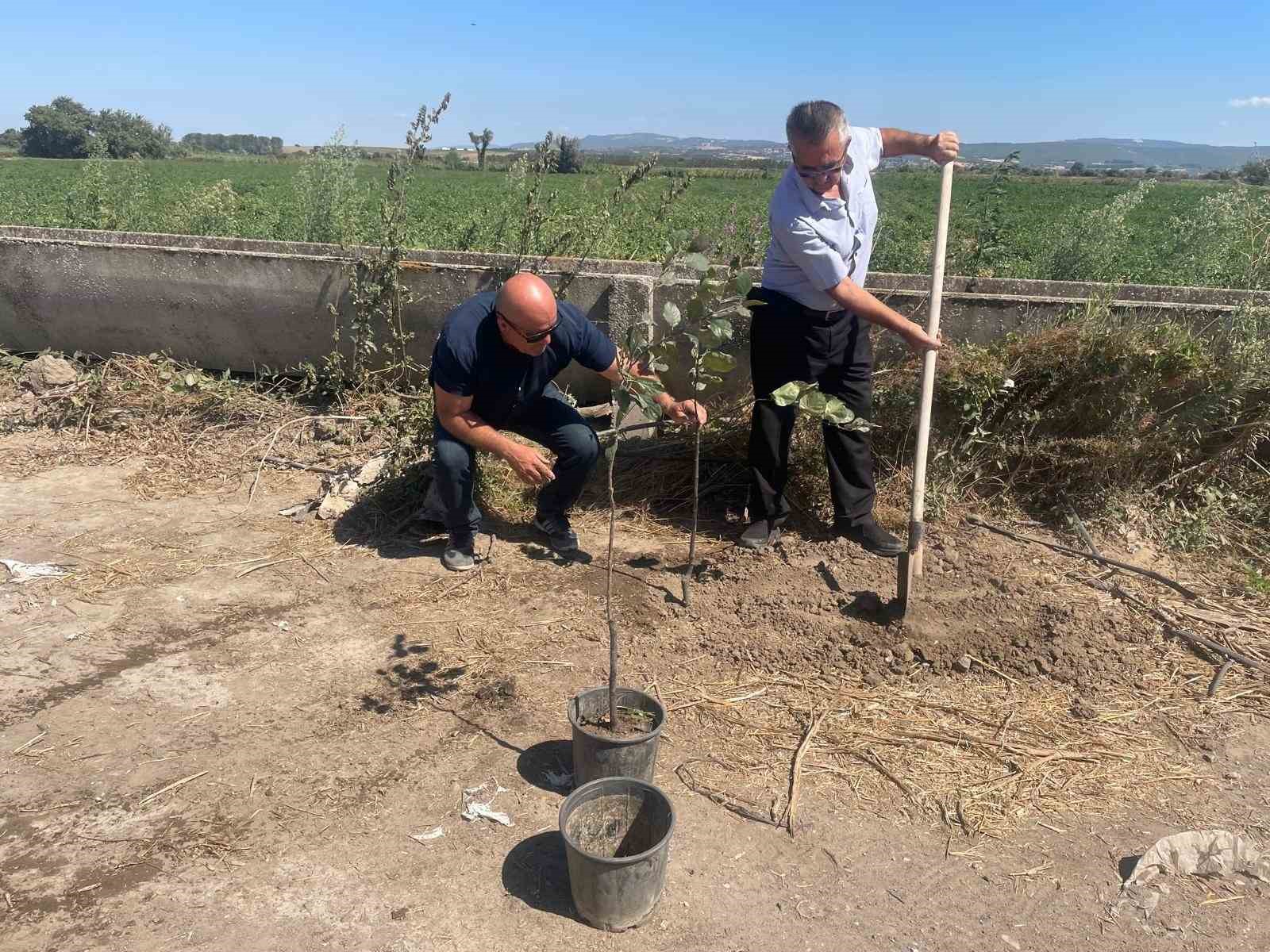 Orman yangınlarında kaybedilen her ağaç yerine 10 fidan