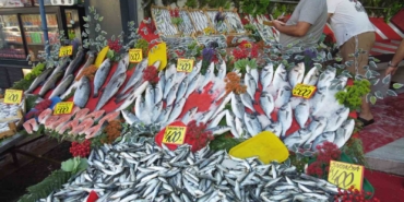 Av yasağının kalkmasıyla balık tezgahları şenlendi