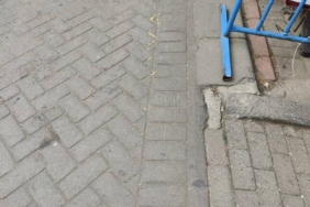 Gaziosmanpaşa’da ağızlıksız gezdirilen pitbull başka köpeğe saldırdı