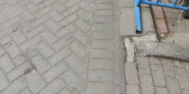 Gaziosmanpaşa’da ağızlıksız gezdirilen pitbull başka köpeğe saldırdı