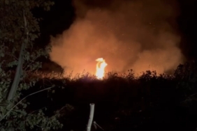 İznik’te korkutan yangın