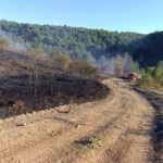 Pazaryeri Bozcaarmut’ta orman yangını