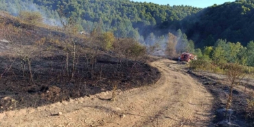 Pazaryeri Bozcaarmut’ta orman yangını