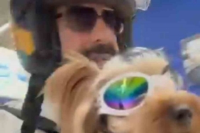 Köpeği ile markete alınmayan vatandaş isyan etti