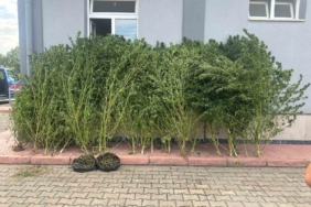 Bursa’da uyuşturucu operasyonu