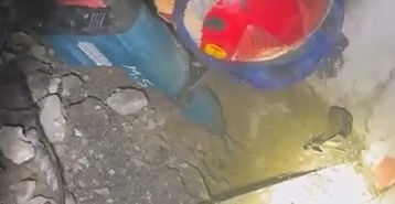 Yaramaz kedi, kaza kaza kendini toprağa gömdü