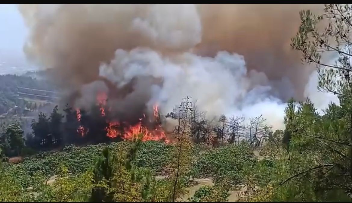 Bursa’daki orman yangınına güçlü müdahale
