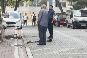 Evini yakmaya çalıştı, müdahale eden polise saksı attı