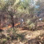 Çanakkale’de ormanlık alanda çıkan yangın kontrol altına alındı