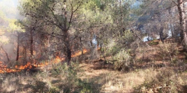 Çanakkale’de ormanlık alanda çıkan yangın kontrol altına alındı