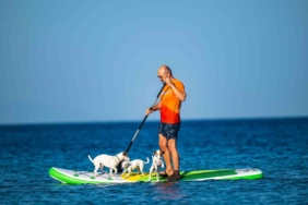 Köpekleriyle deniz keyfi