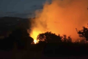 Yol kenarında başlayan yangın ormana sıçradı