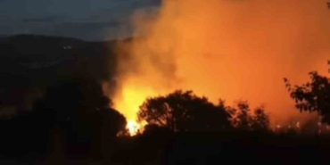 Yol kenarında başlayan yangın ormana sıçradı