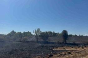 Bilecik’te yaşanan anız yangınında 2 hektar alan kül oldu