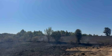 Bilecik’te yaşanan anız yangınında 2 hektar alan kül oldu