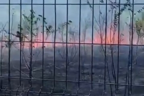 Ziraat meslek lisesinin bahçesi alevlere teslim oldu