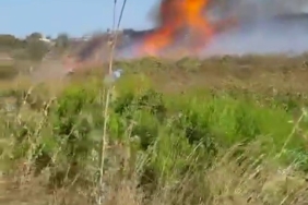 Bursa’da çalılık alanda yangın