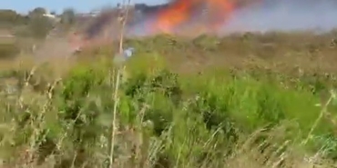 Bursa’da çalılık alanda yangın