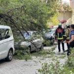 Kadıköy’de ağaç dalı iki otomobilin üzerine devrildi