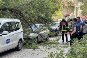 Kadıköy’de ağaç dalı iki otomobilin üzerine devrildi
