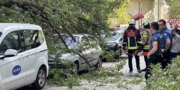 Kadıköy’de ağaç dalı iki otomobilin üzerine devrildi