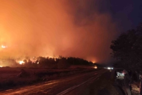 Bursa’da orman yangını...Rüzgarın etkisiyle büyüdü