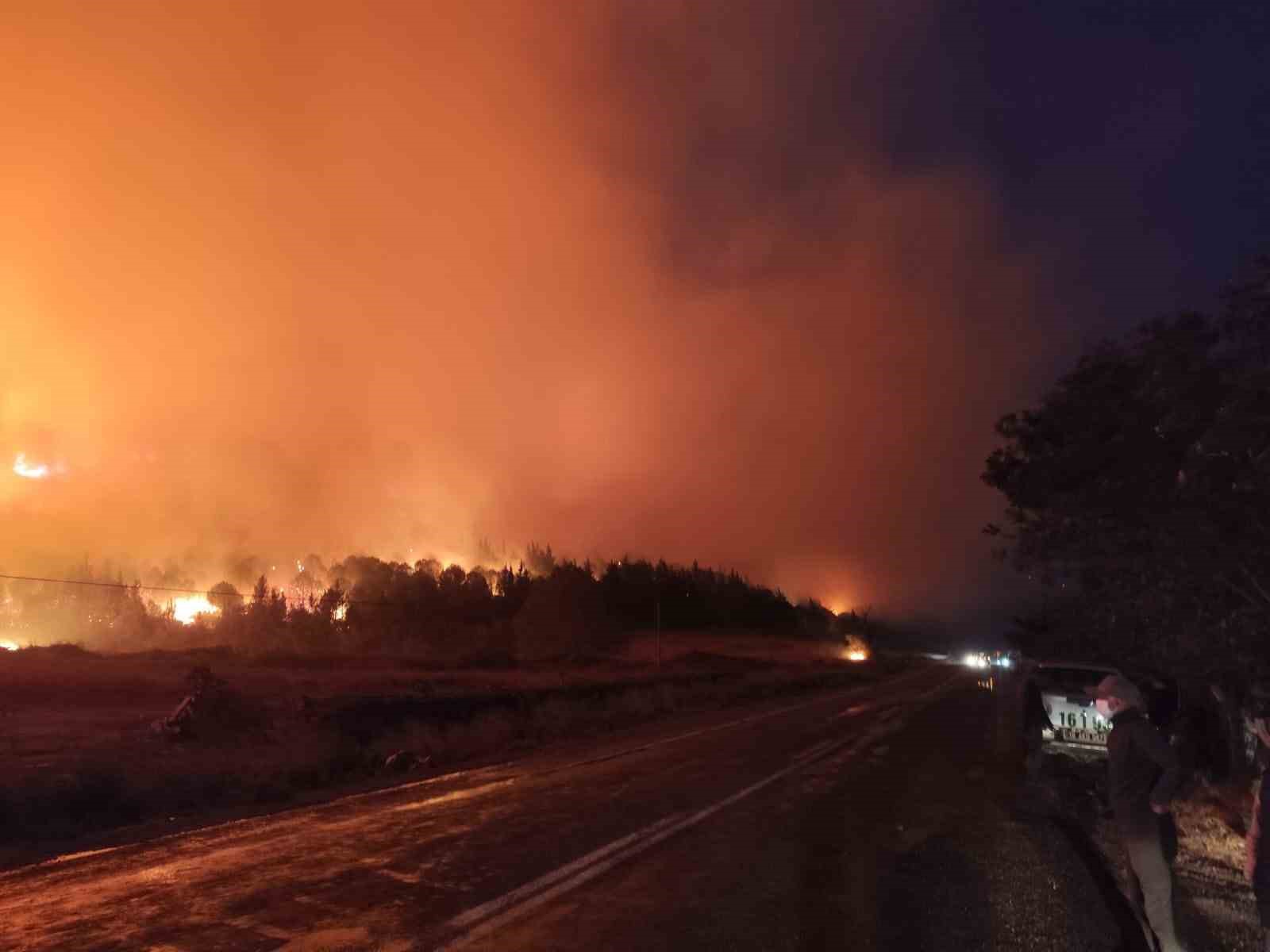 Bursa’da orman yangını...Rüzgarın etkisiyle büyüdü
