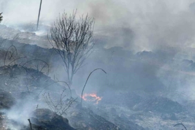 Manyas Kuş Cenneti yakınında yangın paniği