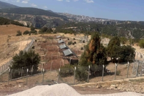 Sokak Hayvanları Doğal Yaşam Alanı’nı ruhsatsız çıktı
