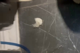 Bursa’da film sahnelerini aratmayan kovalamaca